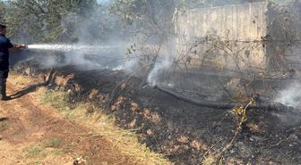 Zeytinlik alanda çıkan yangın, büyümeden söndürüldü