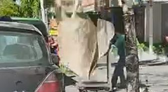 7'nci kattan düşen halı, mağaza çalışanının başına isabet etti