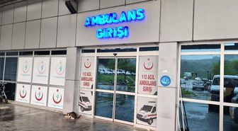 Alaplı'da 'pat-pat' kazası: 2 yaralı
