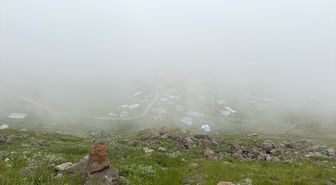 Ardahan ve Artvin'in yüksek kesimlerinde sis etkili oldu