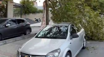 Avcılar'da fırtına nedeniyle ağaçlar devrildi, çatılardan parçalar uçtu