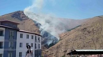Elazığ'da dağlık alanda yangın
