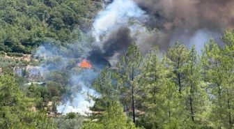 Göcek yangın son dakika: Göcek yangın olayı nedir? Göcek'te yangın mı çıktı, son durum nedir?