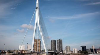 Hollanda'da iki tramvay çarpıştı: 15 yaralı