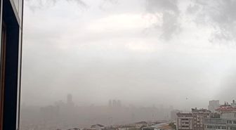 İstanbul'da fırtına etkili oldu, ağaçlar devrildi