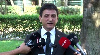 İstanbul'da çekirge istilası yok