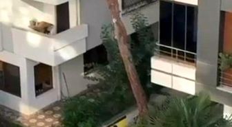 Maltepe'de vatandaşlar kadına şiddete kayıtsız kalmadı: Balkondaki adama taş yağdırdı