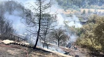 Muğla'da orman yangını