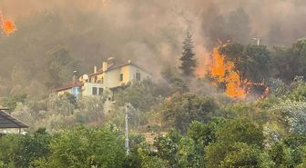 Muğla'da orman yangını