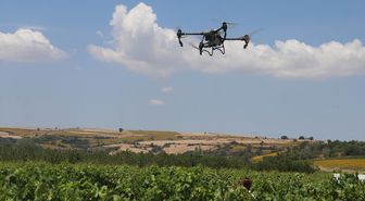 Tekirdağ'da bağlarda dronla ilaçlamanın doğru yöntemi araştırılıyor