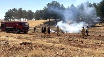 Adıyaman'da kuraklık ve orman yangını tatbikatı düzenlendi