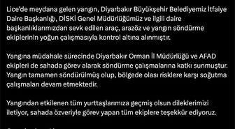 Lice'deki Yangın Kontrol Altına Alındı
