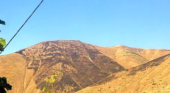 Elazığ'da dağlık alanda çıkan yangın söndürüldü