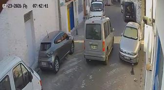 Muğla'da sürücü iki kediyi ezerek kaçtı
