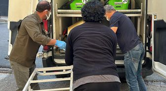 Kene kabusu büyüyor! Ölü sayısı çift haneye çıktı