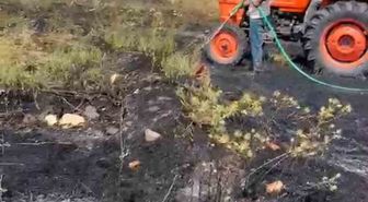Kütahya'da elektrik hatlarından kaynaklı orman yangını kontrol altına alındı