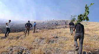 Malatya'da anız yangını: Ekipler müdahale ediyor