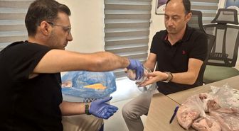 Manisa'da gıda güvenliği için denetimler aralıksız sürüyor