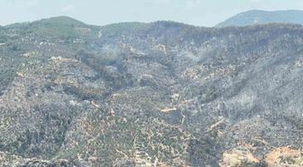 Fethiye'de orman yangını 24 saatte kontrol altına alındı, yeşil örtü küle döndü