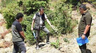Andırın'da 3 yılda 2 bin 380 kestane ve ıhlamur fidanı toprakla buluşturuldu
