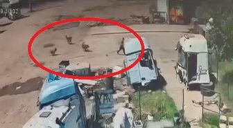 Silopi'de başıboş köpeklerin saldırdığı çocuğu babası ve amcası kurtardı