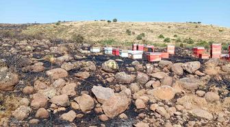 Elazığ’da arazi yangını: Arı kovanları zarar gördü