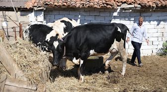 Eski hükümlüye devlet desteğiyle hayvancılık