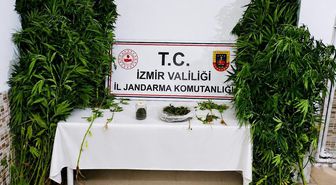 İzmir'de bir zanlı evinde Hint keneviri yetiştirdiği gerekçesiyle tutuklandı