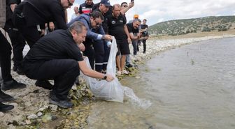 Kütahya’da Porsuk Barajı Göleti’ne 107 bin 500 balık yavrusu bırakıldı