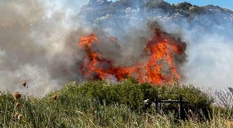 Datça'da Makilik Alanda Yangın: 2 Dönüm Zarar Gördü