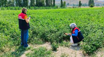 Afyon'da tarım arazisi denetimleri sürüyor