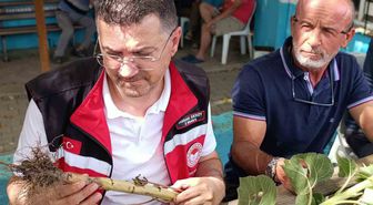 Tekirdağ'da dolu hasar tespit çalışmaları