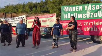 Çevre gönüllüleri, ağaç kesimlerinin üçüncü yılında Akbelen Ormanı’nda buluştu