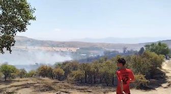 Elazığ’da çıkan yangın söndürüldü
