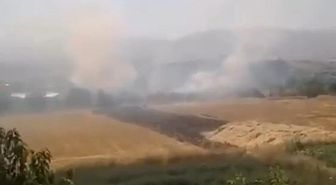 Elazığ’da otluk alanda yangın