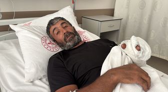 Erzincan'da ayı saldırısına uğrayan kişi yaralandı