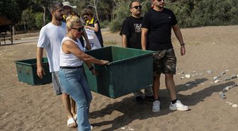 Mersin'de uydu takip cihazı takılan 2 yeşil deniz kaplumbağası denizle buluşturuldu