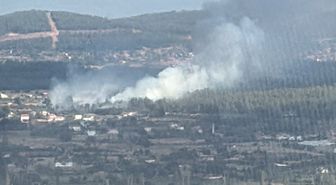 Muğla'da çıkan orman yangınına müdahale ediliyor