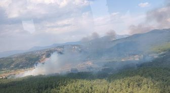 Muğla'da tarım arazisinde çıkan yangın ormana sıçradı