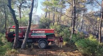 Muğla’da ziraat alanından ormana sıçrayan yangında 1 gözaltı
