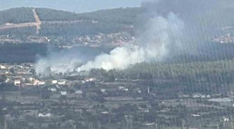 Muğla Menteşe’de orman yangını