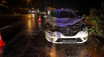 Sinop'ta büyükbaş hayvana çarpan otomobildeki 1 kişi yaralandı