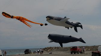 Tekirdağ'da 4. Trakya Uçurtma Festivali başladı