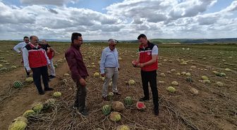 Tekirdağ'da doludan zarar gören tarım arazilerinde hasar tespit çalışmaları sürüyor