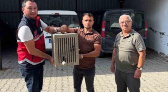 Yaralı halde bulunan leylek, koruma altına alındı