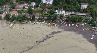 Cide'de su taşkınları limanı balçık ve odunla kapladı