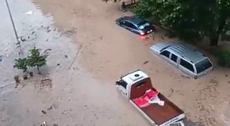 Kastamonu'da Cide'de sağanak; Devrekani Çayı taştı, ev ve iş yerini su bastı