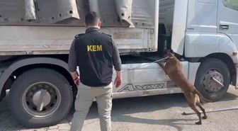 Şırnak’ta zehir tacirlerine ağır darbe: 90 kilo uyuşturucu ele geçirildi