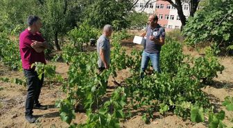 Tekirdağ'dan kısa kısa