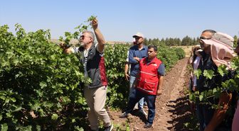 Türk Kızılaydan Diyarbakır'da bağcılık eğitimleri